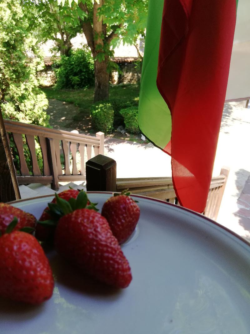 Hotel Izvora - Garden Retreat Arbanasi Eksteriør billede